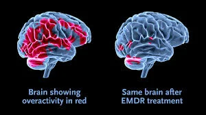 Logo Ufficiale EMDR
